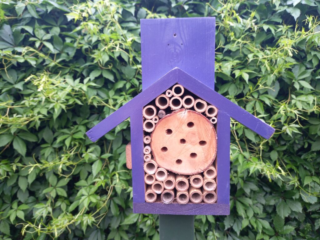 Bee hotel made by Duncan Devine