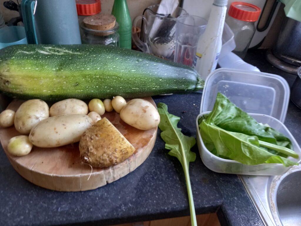 Harvest potatoes, spinach and courgettes